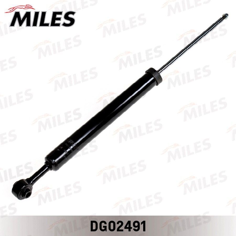 MILES DG02491